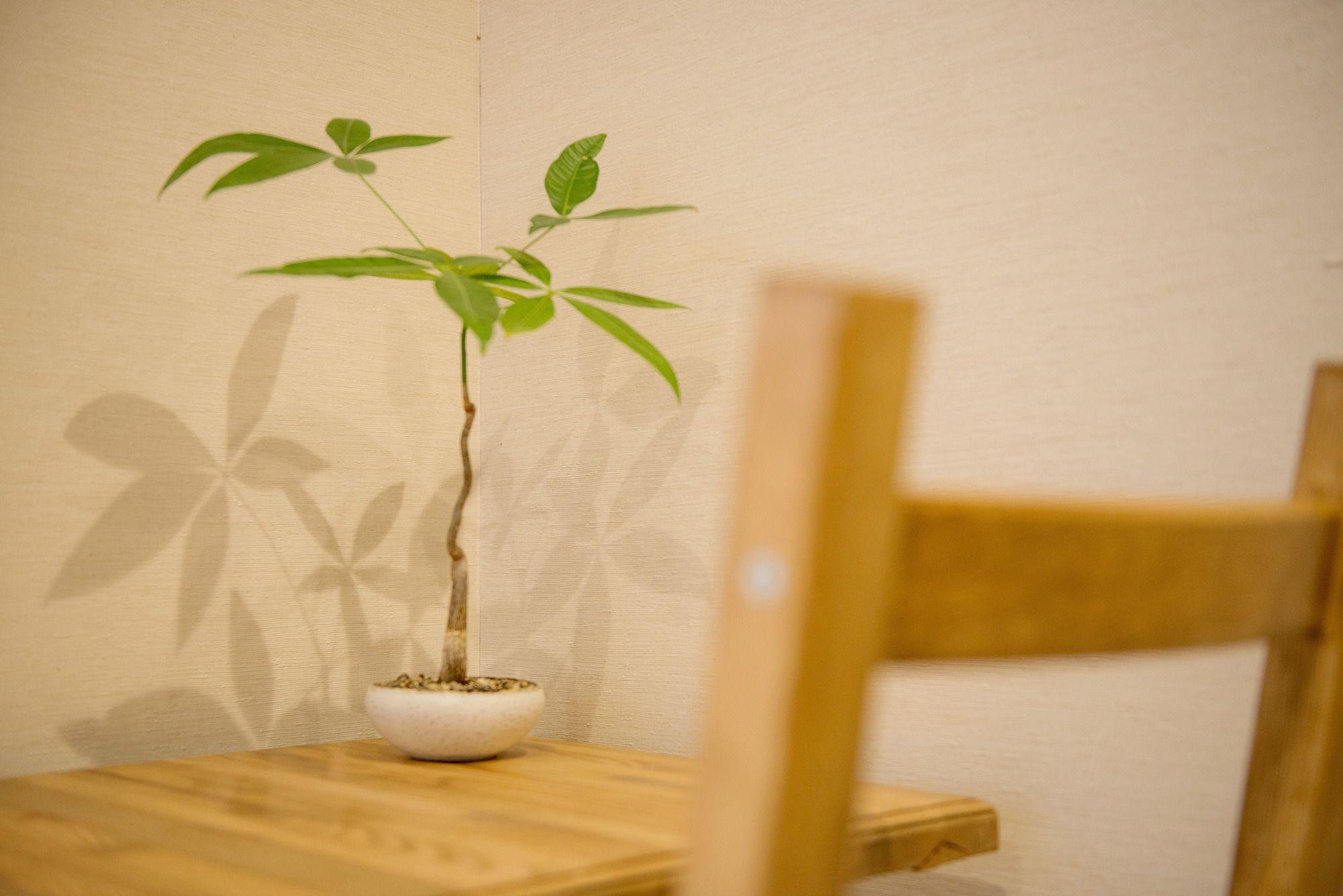 Denchi Tokyo - Guest House Denchi 外观 照片